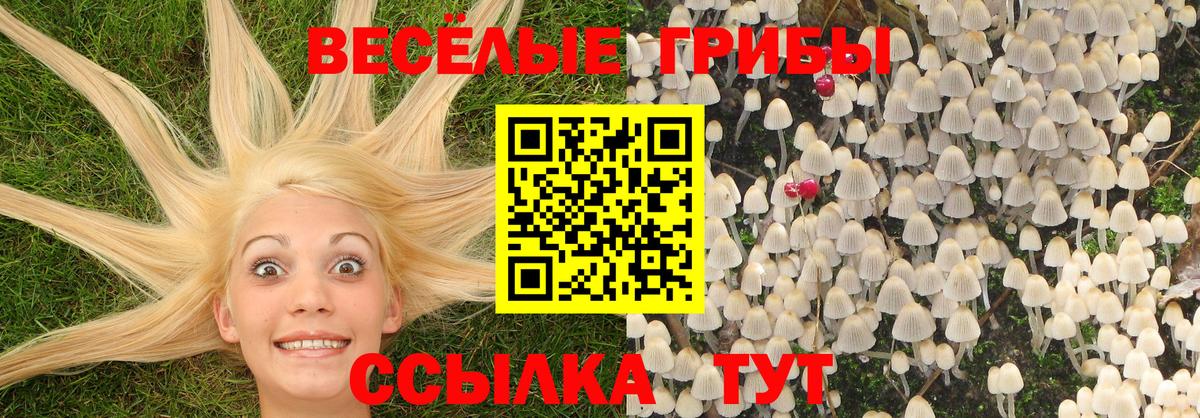 продажа наркотиков  Вход с VPN  Галлюциногенные грибы GOLDEN TEACHER  Волоколамск  Галлюциногенные грибы ЛСД 